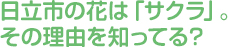 日立市の花は「サクラ」。その理由を知ってる？