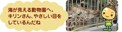 海が見える動物園へ。キリンさん、やさしい目をしているんだね