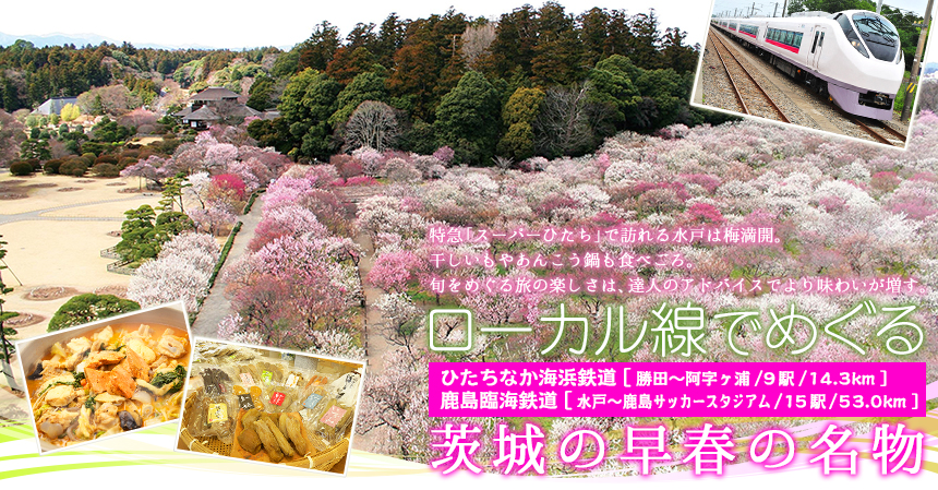 ローカル線「ひたちなか海浜鉄道
 勝田～阿字ヶ浦／9駅／14.3km｜鹿島臨海鉄道 水戸～鹿島サッカースタジアム／15駅／53.0km」でめぐる 茨城の早春の名物