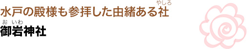 水戸の殿様も参拝した由緒ある社（やしろ）
御岩（おいわ）神社
