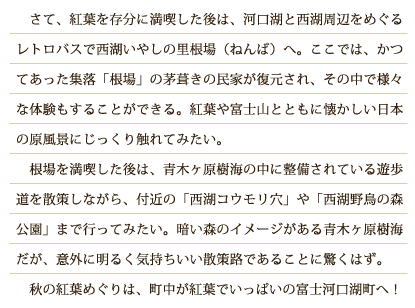 さて、紅葉を存分に満喫した後は、河口湖と西湖周辺をめぐるレトロバスで西湖いやしの里根場（ねんば）へ。ここでは、かつてあった集落「根場」の茅葺きの民家が復元され、その中で様々な体験もすることができる。紅葉や富士山とともに懐かしい日本の原風景にじっくり触れてみたい。根場を満喫した後は、青木ヶ原樹海の中に整備されている遊歩道を散策しながら、付近の「西湖コウモリ穴」や「西湖野鳥の森公園」まで行ってみたい。暗い森のイメージがある青木ヶ原樹海だが、意外に明るく気持ちいい散策路であることに驚くはず。秋の紅葉めぐりは、町中が紅葉でいっぱいの富士河口湖町へ！