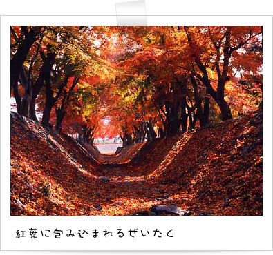 紅葉に包み込まれるぜいたく