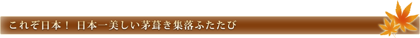 これぞ日本！ 日本一美しい茅葺き集落ふたたび