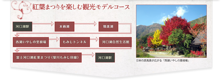 紅葉まつりを楽しむ観光モデルコース  河口湖駅　⇒　本栖湖　⇒　精進湖　⇒　西湖いやしの里根場　⇒　もみじトンネル　⇒　河口湖自然生活館　⇒　富士河口湖紅葉まつり（梨川もみじ回廊）　⇒　河口湖駅 