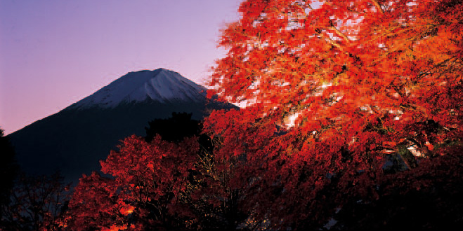 11月から富士河口湖の
紅葉は最高のシｰズンに
