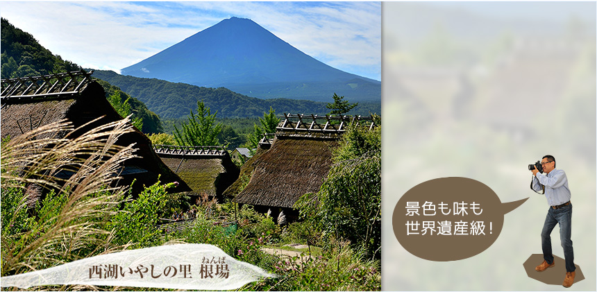 ちょっと気になる穴場旅 霊峰 富士を望む昔懐かしの茅葺き集落へ トレたび 山梨県 富士河口湖町