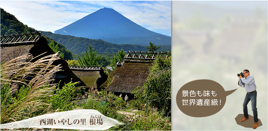 西湖いやしの里 根場(ねんば)