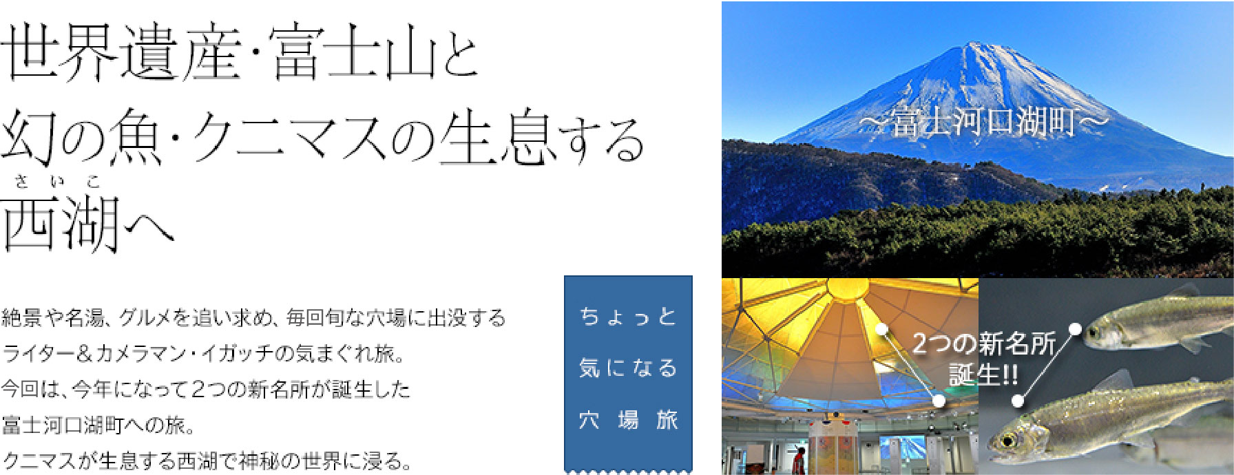 ちょっと気になる穴場旅 世界遺産・富士山と幻の魚・クニマスの生息する西湖へ