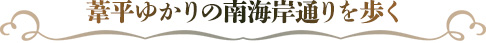 葦平ゆかりの南海岸通りを歩く