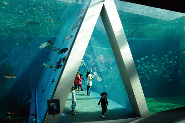 環境水族館アクアマリンふくしま（福島県いわき市）