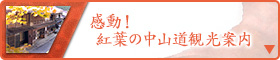 感動！  紅葉の中山道観光案内