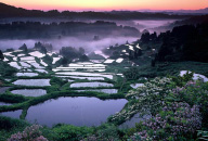 写真：星峠の棚田（十日町市）