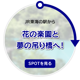 JR東海の駅から花の楽園と夢の吊り橋へ！