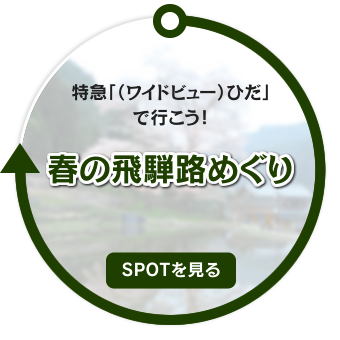 特急「（ワイドビュー）ひだ」で行こう！ 春の飛騨路めぐり