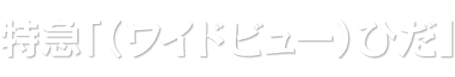 特急「（ワイドビュー）ひだ」