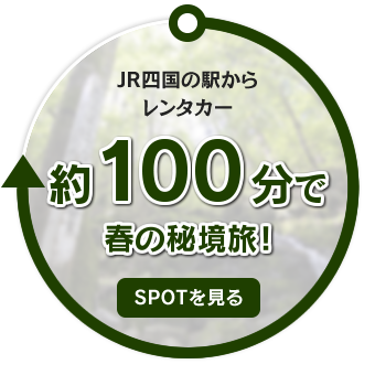 JR四国の駅からレンタカー約100分で春の秘境旅！