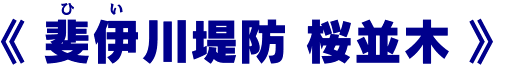 斐伊（ひい）川堤防 桜並木