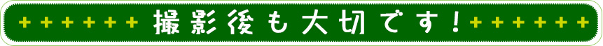 撮影後も大切です！