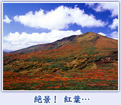 絶景！ 紅葉…