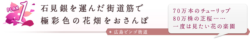 PLAN １ 石見銀を運んだ街道筋で 極彩色の花畑をおさんぽ ～広島ビンゴ街道～70万本のチューリップ 80万株の芝桜…… 一度は見たい花の楽園 