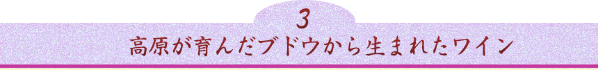 高原が育んだブドウから生まれたワイン