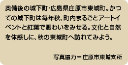 奥備後の城下町・広島県庄原市東城町。かつての城下町は毎年秋、町内まるごとアートイベントと紅葉で賑わいをみせる。文化と自然を体感しに、秋の東城町へ訪れてみよう。（写真協力＝庄原市東城支所）