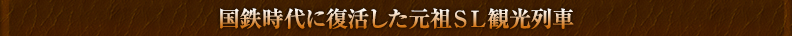 国鉄時代に復活した元祖ＳＬ観光列車