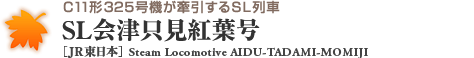 C11形325号機が牽引するSL列車 SL会津只見紅葉号［JR東日本］