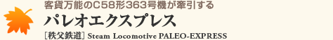 客貨万能のC58形363号機が牽引する パレオエクスプレス［秩父鉄道］