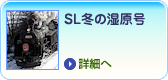 SL冬の湿原号