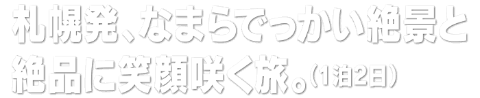 札幌発、なまらでっかい絶景と絶品に笑顔咲く旅。（1泊2日）