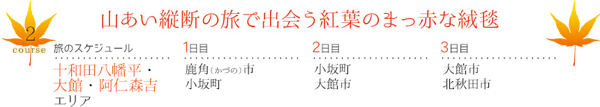 コース2｜山あい縦断の旅で出会う紅葉のまっ赤な絨毯