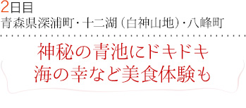 ２日目｜青森県深浦町、十二湖（白神山地）、八峰町｜神秘の青池にドキドキ　海の幸など美食体験も