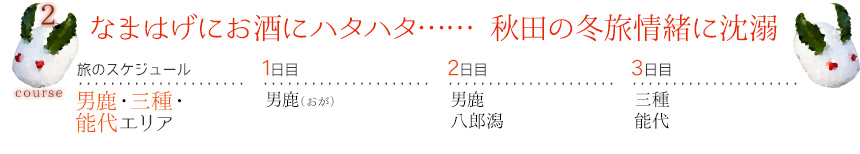 コース2｜なまはげにお酒にハタハタ……秋田の冬旅情緒に沈溺