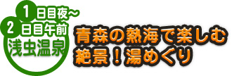 1日目夜～2日目午前 浅虫温泉 青森の熱海で楽しむ 絶景！湯めぐり