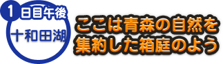 1日目午後 十和田湖 ここは青森の自然を 集約した箱庭のよう