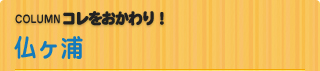 COLUMN　コレをおかわり！ 仏ヶ浦