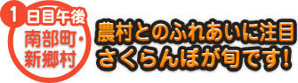 1日目午後 南部町・新郷村 農村とのふれあいに注目 さくらんぼが旬です！