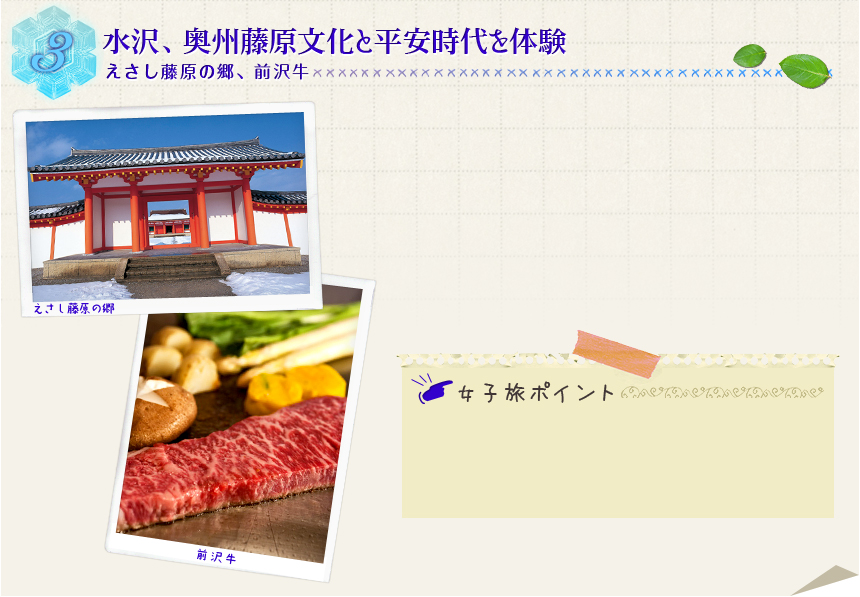 ３ 水沢、奥州藤原文化と平安時代を体験 えさし藤原の郷、前沢牛