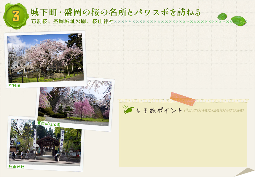 ３ 城下町・盛岡の桜の名所とパワスポを訪ねる 石割桜、盛岡城址公園、桜山神社
