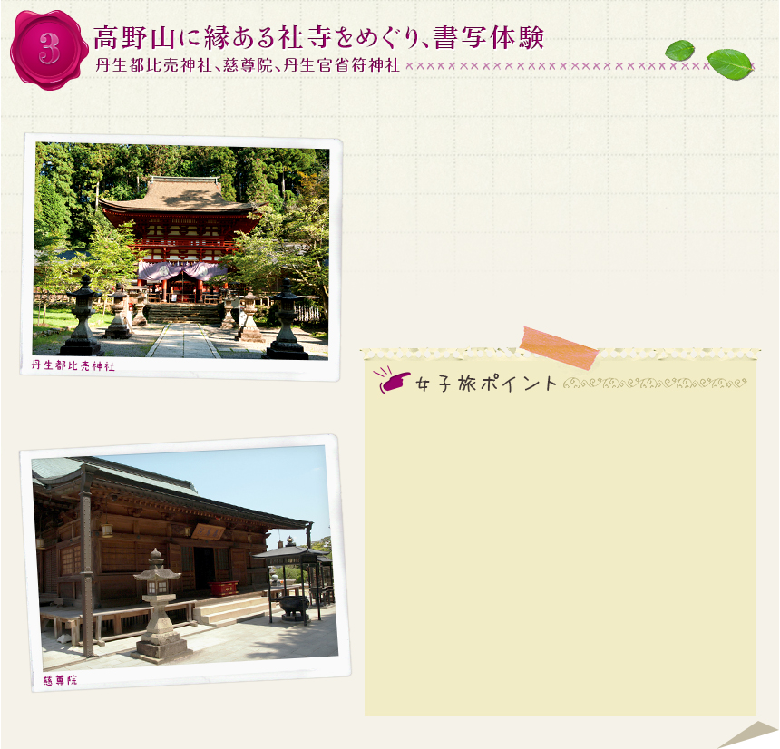 ３｜高野山に縁ある社寺をめぐり、書写体験
｜丹生都比売神社、慈尊院、丹生官省符神社