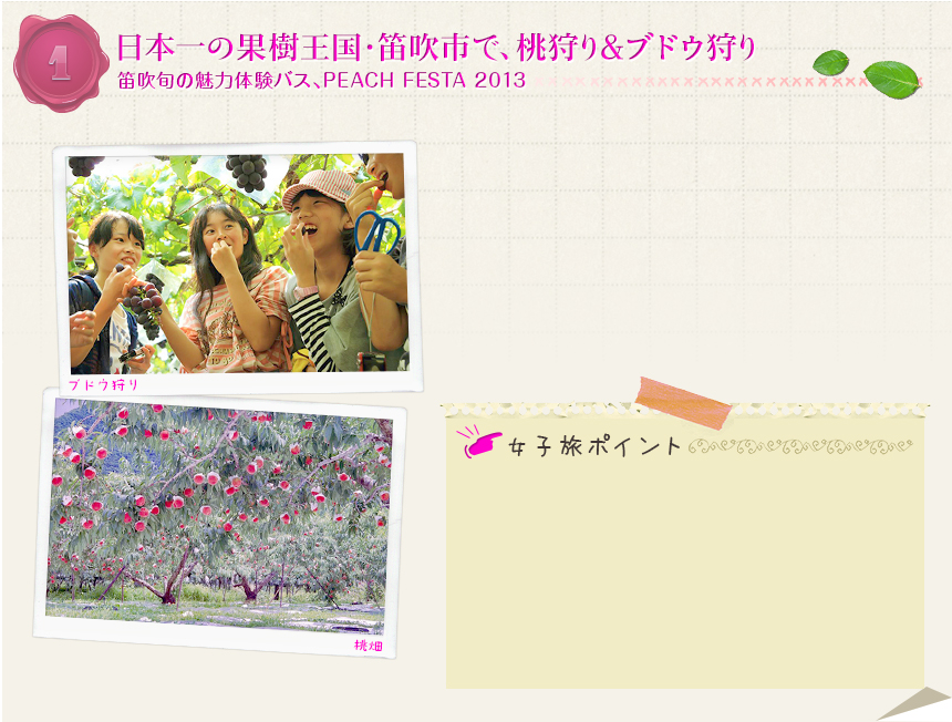 1　日本一の果樹王国・笛吹市で、桃狩り＆ブドウ狩り｜笛吹旬の魅力体験バス、PEACH　FESTA　2013