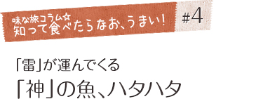 「味な旅コラム☆知って食べたらなお、うまい！」＃４「雷」が運んでくる「神」の魚、ハタハタ