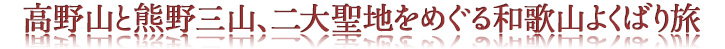 高野山と熊野三山、二大聖地をめぐる和歌山よくばり旅