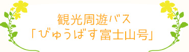 観光周遊バス「びゅうばす富士山号」