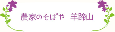 農家のそばや 羊蹄山