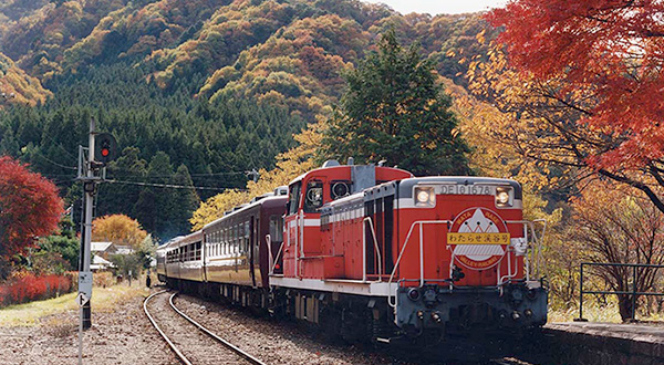 紅葉が見事！トロッコ列車で
渓谷の秋風を感じて



