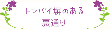 トンバイ塀のある裏通り