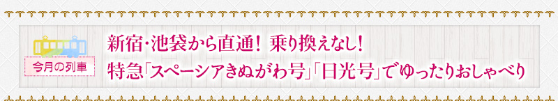 新宿･池袋から直通！乗り換えなし！特急「スペーシアきぬがわ号」「日光号」でおしゃべり
