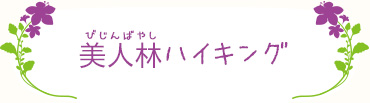 美人林（びじんばやし）ハイキング